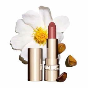 Clarins Joli Rouge Satin Lipstick - 731 Rose Berry