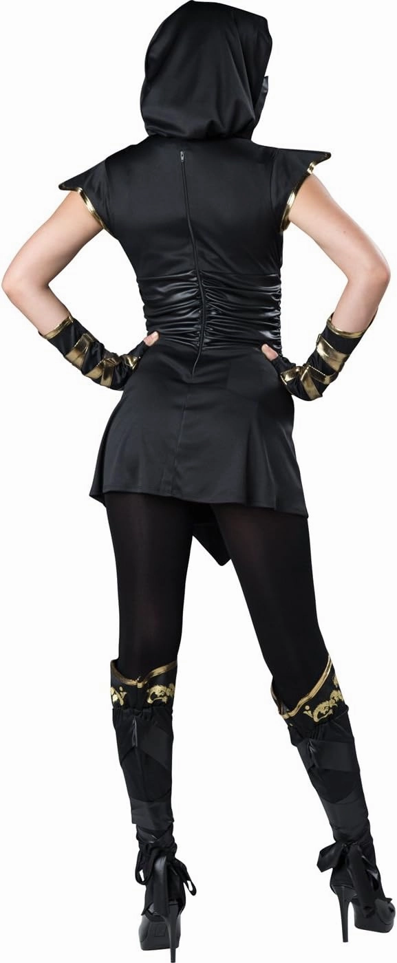 InCharacter Women's Ninja's Mystique Costume