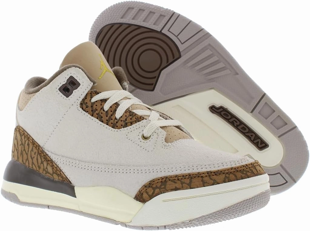 Jordan 3 Retro PS Boys Shoes