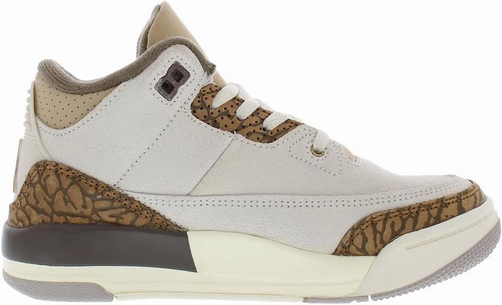 Jordan 3 Retro PS Boys Shoes