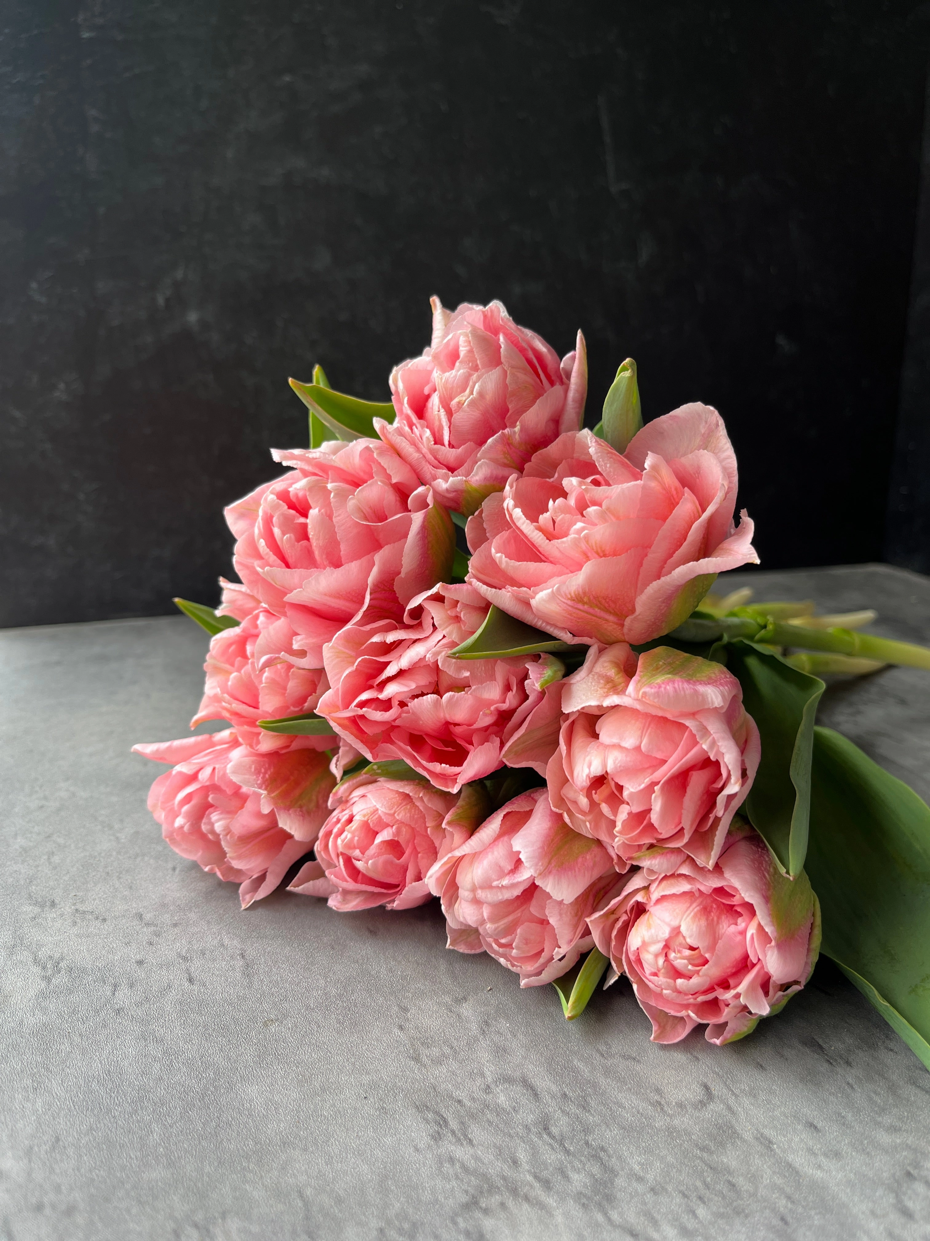 Tulip-Mariage