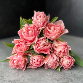 Tulip-Mariage