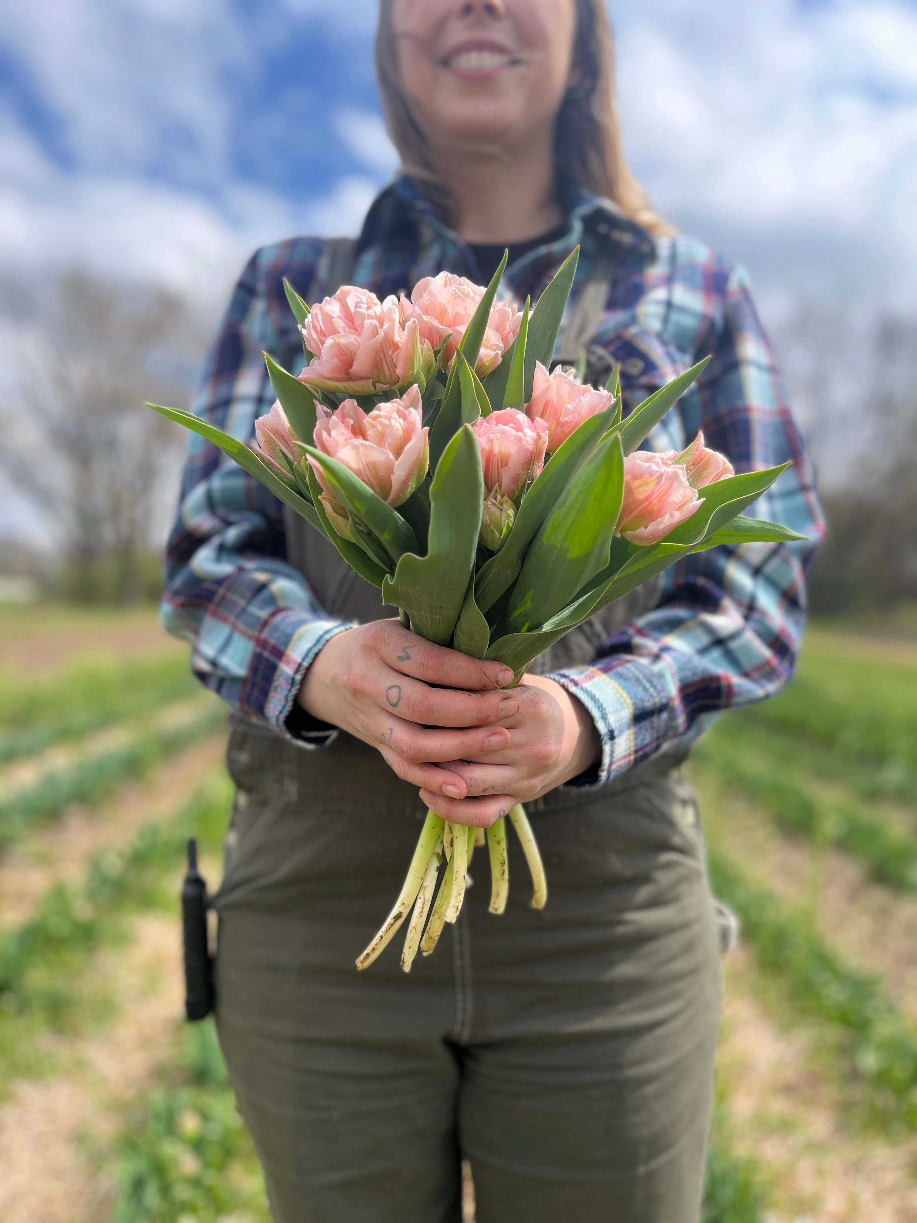 Tulip-Mariage
