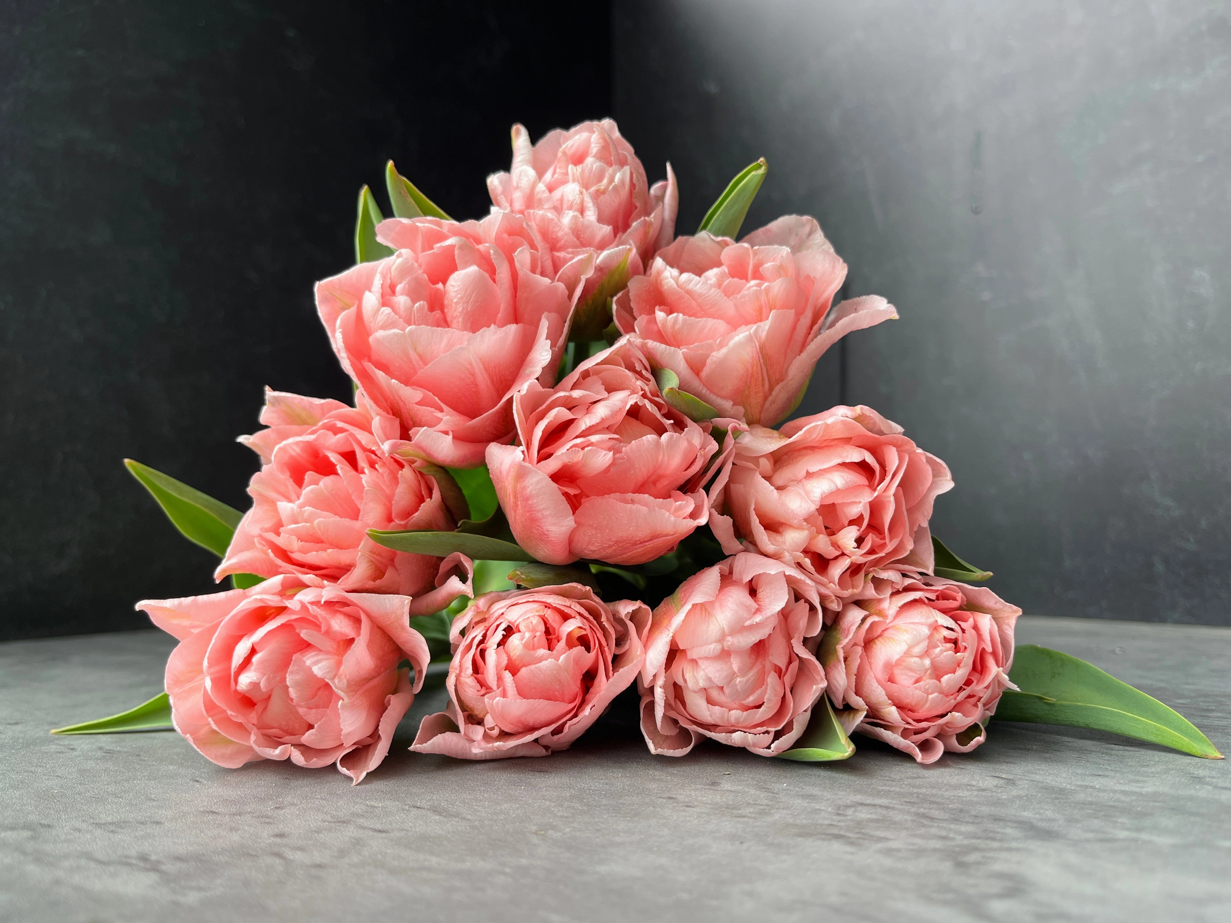 Tulip-Mariage