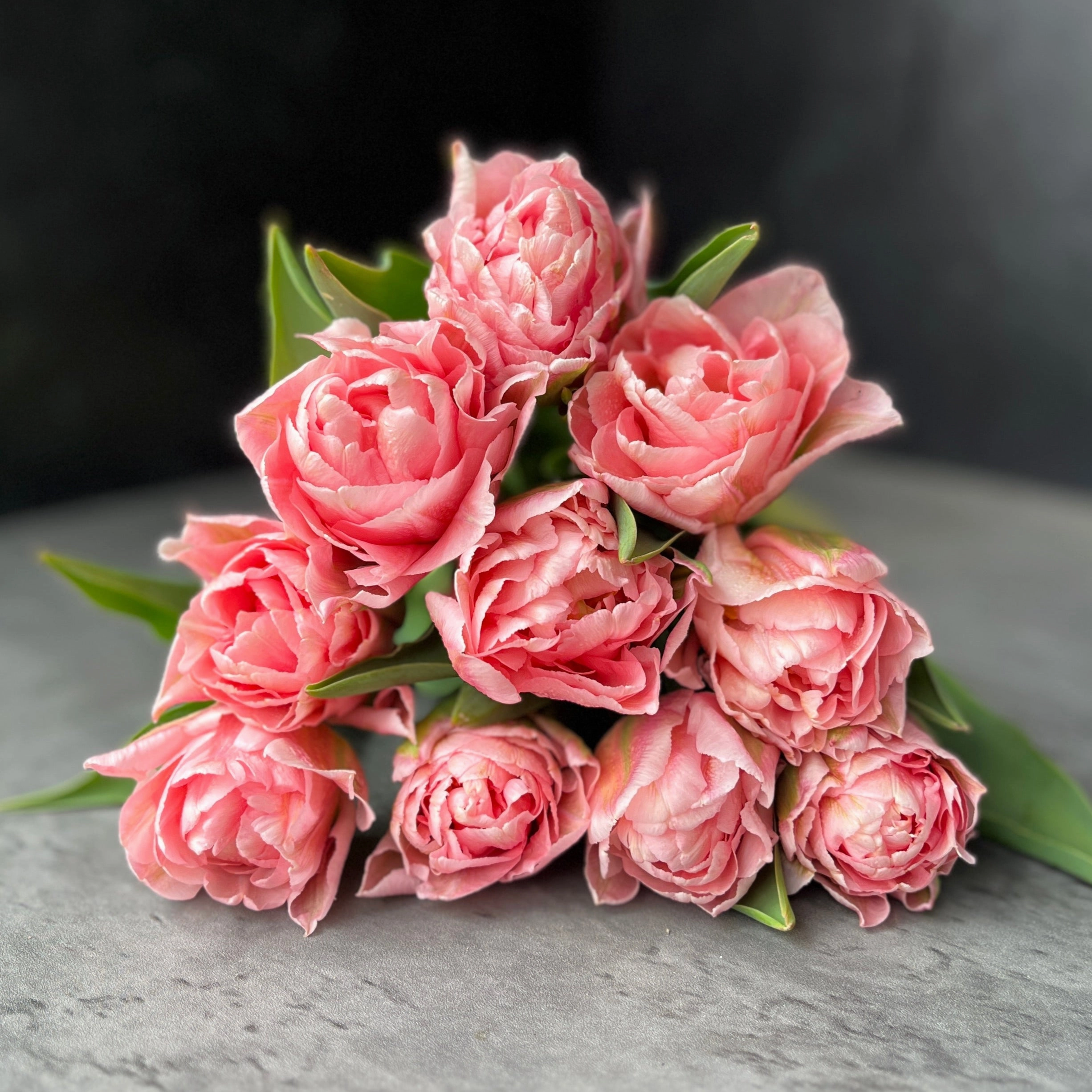 Tulip-Mariage