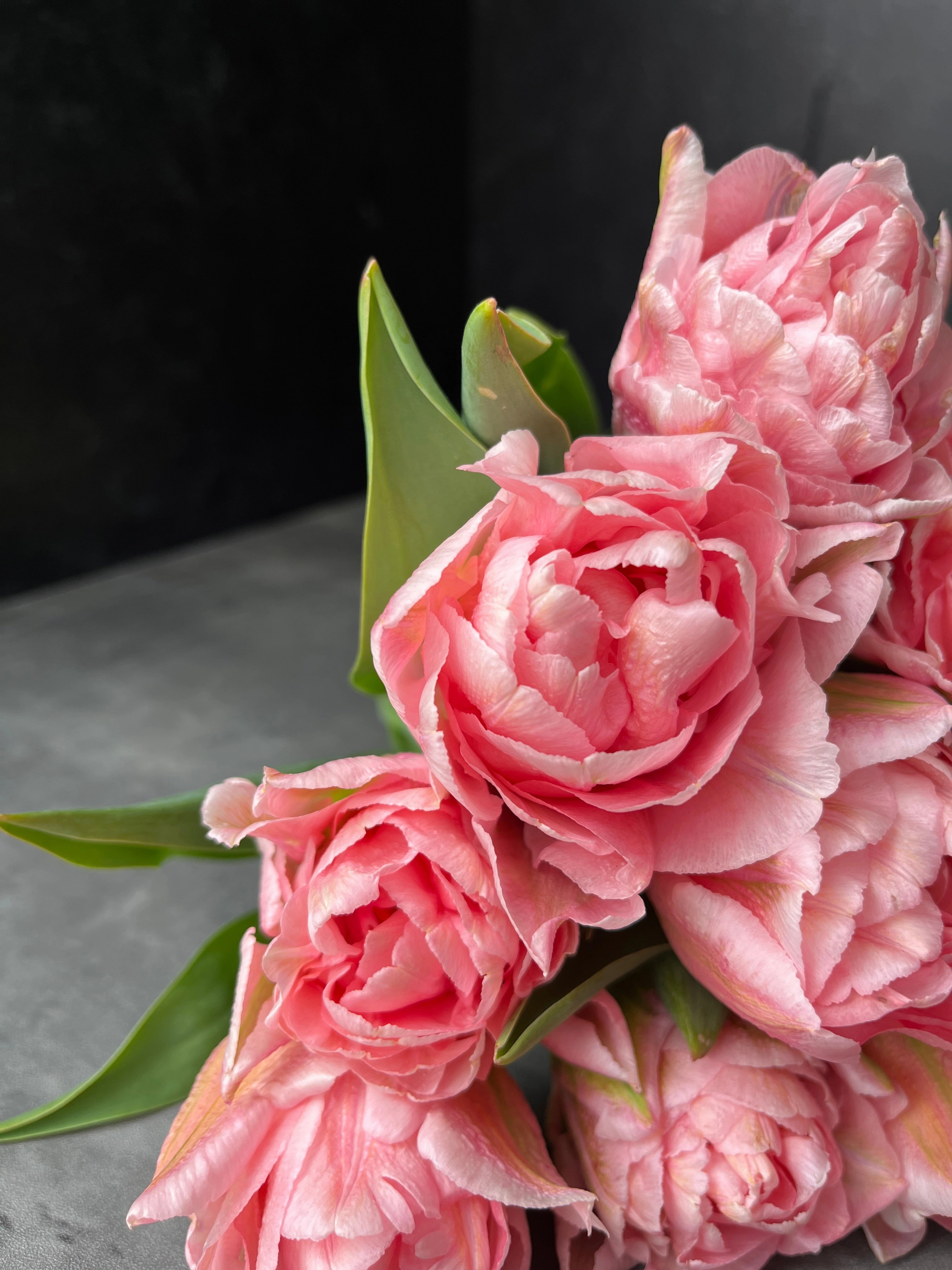 Tulip-Mariage