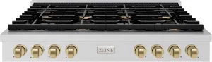 ZLINE 48 in. Autograph Edition Paramount Gas Rangetop with 8 Burners and Porcelain Cooktop in Stainless Steel with Champagne Bronze Accents (SRTZ-48-CB)